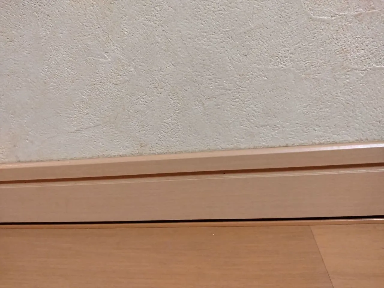 こっそり積もるほこりたち