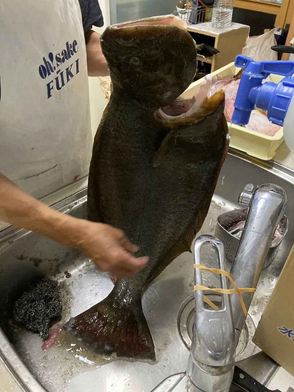 86cmのヒラメを５人でとも家事♪