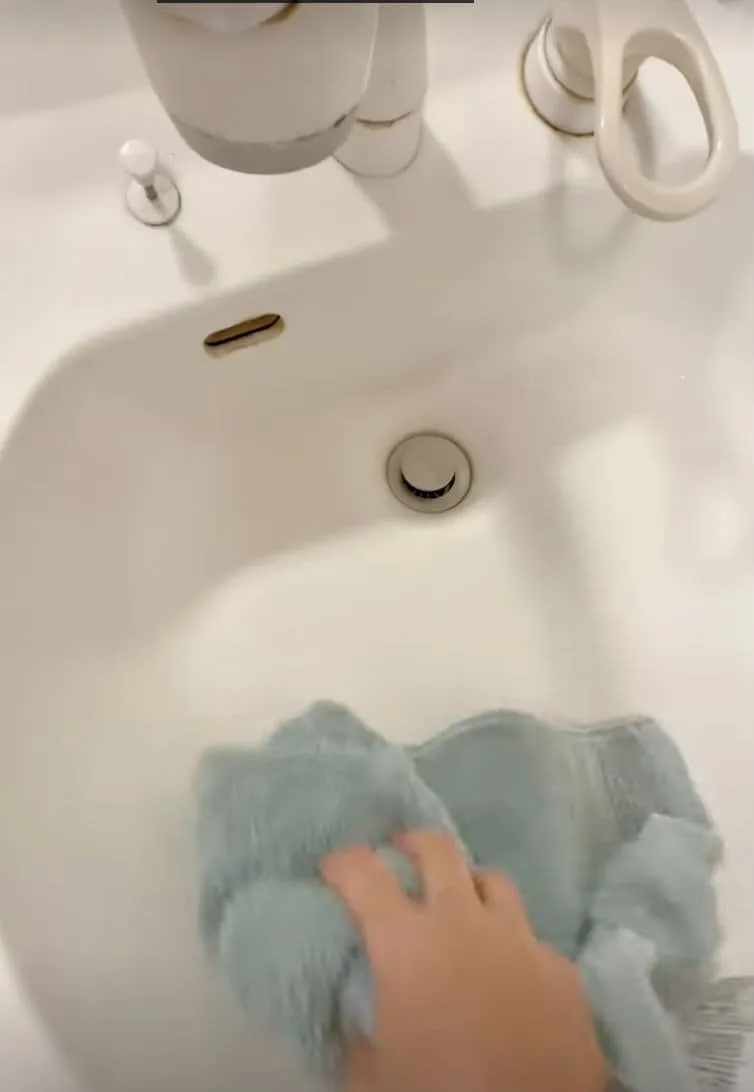 ズボラ時短お掃除テク　